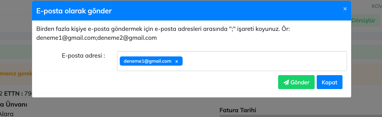 Web - Kesilen e-Fatura Nasıl e-Posta ile Paylaşılır?